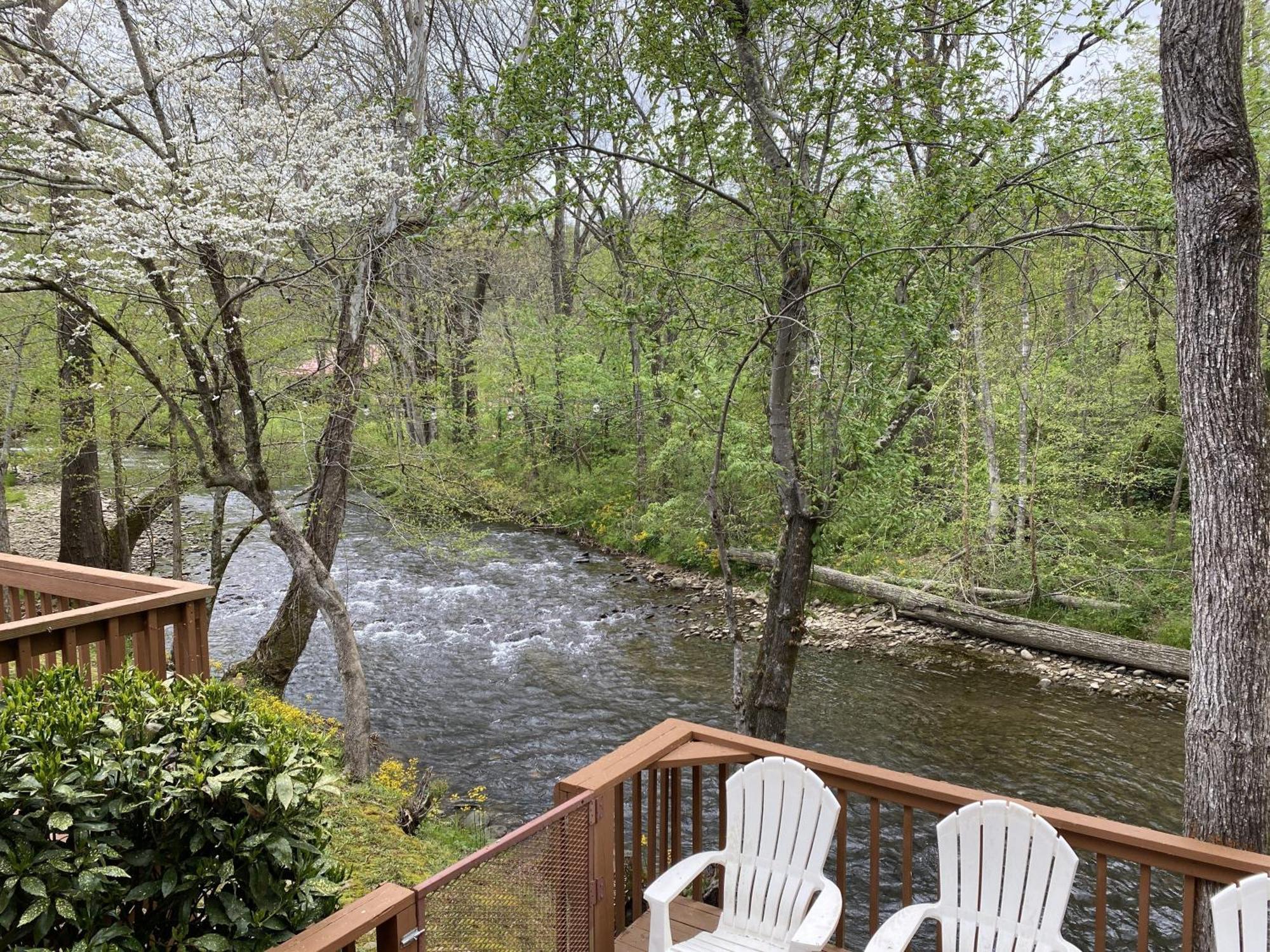 Gray'S Place On Cosby Creek - 2 Bedrooms, 2 Baths, Sleeps 6 Home Esterno foto